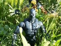 Black Panther (Marvel Legends) Custom Action Figure