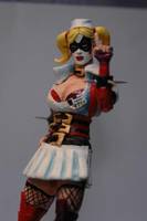 Harley Quinn (Arkham Asylum) (Batman) Custom Action Figure