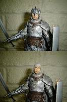Dragon Age : Grey Warden (Fantasy) Custom Action Figure