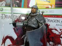 Daragon Age : Warden Commander (Fantasy) Custom Action Figure