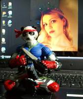 Panda Khan (Teenage Mutant Ninja Turtles) Custom Action Figure