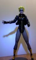 Smallville Black Canary (DC Direct) Custom Action Figure