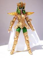 Shaina Gold Cloth (Myth Cloth) Custom Action Figure