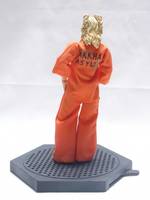 Incarcerated Harley Quinn (DC Universe) Custom Action Figure