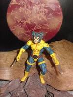 Wolverine (Marvel Universe) Custom Action Figure