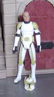 Clone Captain Rook (Star Wars Clone Wars) Custom Action Figure