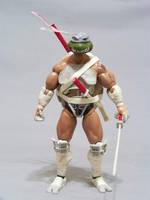 Leonardo (Teenage Mutant Ninja Turtles) Custom Action Figure