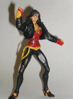 NEW Wonder Woman (DC Superheroes) Custom Action Figure