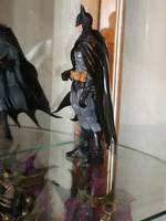 Batman Forever! (DC Universe) Custom Action Figure