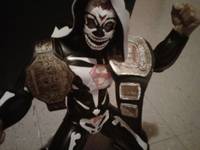 Superparka14" (Wrestling) Custom Action Figure