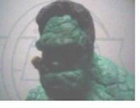 Hulk/Thing (Fantastic Four) Custom Action Figure