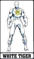 White Tiger (Marvel Legends) Custom Action Figure