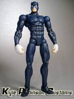 Wildcat (DC Superheroes) Custom Action Figure