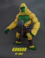 Motuc  Kongor (Masters of the Universe) Custom Action Figure