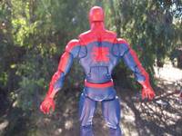 Spider-Man (Spider-Man) Custom Action Figure