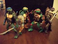 Tmnt (Wrestling) Custom Action Figure
