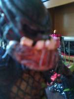 The Berserk Hunter (Predator) Custom Action Figure