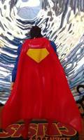 Superman (Superman) Custom Action Figure