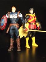 Pheonix (What if Robin Happened before Batman?) (DC Universe) Custom Action Figure