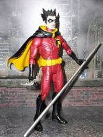 Robin Arkham Asylum (Batman & Robin) Custom Action Figure