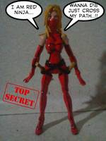 Redninja (Original) Custom Action Figure
