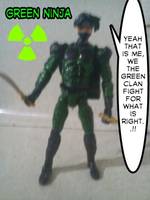 Greenninja (Original) Custom Action Figure