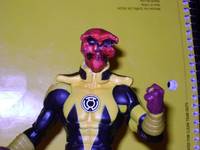 Sinestro Corps Red Skull (Sinestro Corps) Custom Action Figure