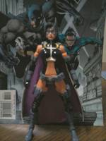 The Huntress (DC Universe) Custom Action Figure