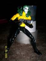 Amalgam: Hyena (Amalgam) Custom Action Figure