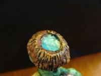 Kappa004 (Mego) Custom Action Figure