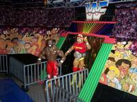Mr T & Hulk Hogan (Wrestling) Custom Action Figure