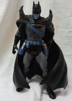 DCUC Jason Todd Batman (DC Universe) Custom Action Figure