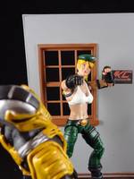 Sonya Blade (Mk Vs DC) (Mortal Kombat) Custom Action Figure