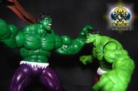 Hulk Dark Green Skin (Marvel Legends) Custom Action Figure