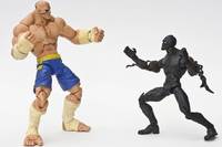 Black Panther - King of Wakanda (Marvel Legends) Custom Action Figure