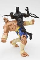 Black Panther - King of Wakanda (Marvel Legends) Custom Action Figure