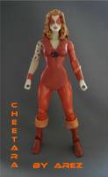Motuc Cheetara (Thundercats) Custom Action Figure