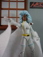 Storm with Typhoon Base (Marvel Universe) Custom Action Figure