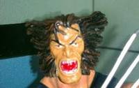 A.O.a Wolverine (Marvel Legends) Custom Action Figure