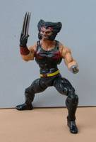 Aoa Wolverine (Marvel Universe) Custom Action Figure