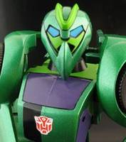 Wasp (Transformers - Animated) Custom Action Figure
