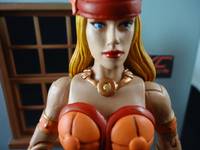 Ileena (from the Episode a Friend in Need) (Masters of the Universe) Custom Action Figure