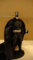Batman the Dark Knight DCUC (DC Universe) Custom Action Figure
