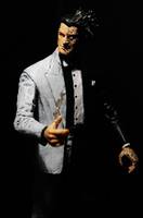Two Face (DC Direct) Custom Action Figure