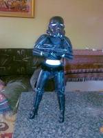 Shadow Ladytrooper (Star Wars) Custom Action Figure