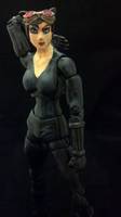 Arkham City Catwoman (Batman) Custom Action Figure