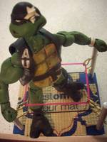 Stone Cold Turtle (Teenage Mutant Ninja Turtles) Custom Action Figure