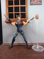 Age of Apocalypse Wolverine (Marvel Universe) Custom Action Figure