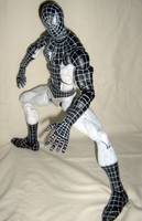 Negative Zone Spiderman (Spider-Man - Movie) Custom Action Figure
