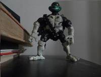 The Turtle of Punishment (Teenage Mutant Ninja Turtles) Custom Action Figure